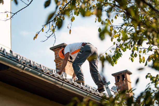 Best Emergency Roof Repair Services  in Olivarez, TX