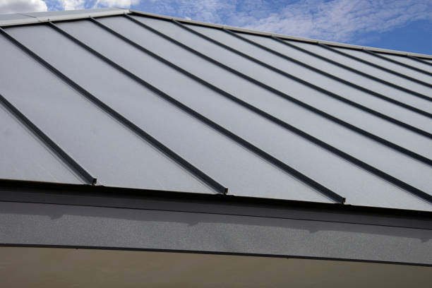 Best Steel Roofing  in Olivarez, TX